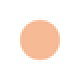 SHISEIDO Prior Bb gel cream foundation Легкий тональный гель-крем