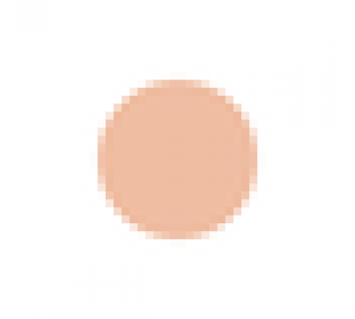 SHISEIDO d program Medicated Powdery foundation Сменный блок SHISEIDO d program Medicated Powdery foundation Сменный блок