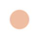 SHISEIDO d program Medicated Powdery foundation Сменный блок