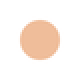 SHISEIDO d program Medicated Powdery foundation Сменный блок