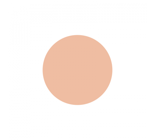 SHISEIDO d program Medicated Powdery foundation Сменный блок SHISEIDO d program Medicated Powdery foundation Сменный блок