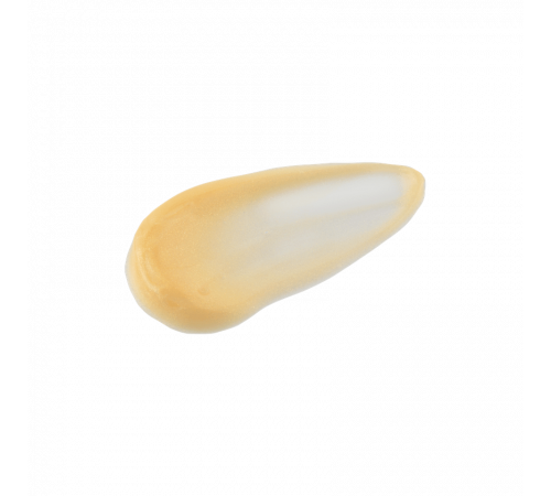 RECORESERUM BIJOU DE MER BEAUTÉ INVARIANTE Golden Radiance Pack 100g Маска для сияния кожи, 100 г. RECORESERUM BIJOU DE MER BEAUTÉ INVARIANTE Golden Radiance Pack 100g Маска для сияния кожи, 100 г.