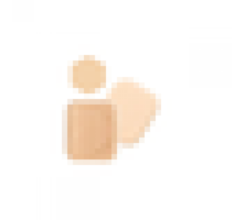 SHISEIDO Integrate Pro Finish Foundation Компактная пудра (сменный блок) SHISEIDO Integrate Pro Finish Foundation Компактная пудра (сменный блок)