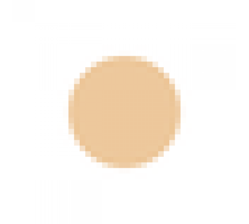 SHISEIDO Maquillage Perfect Multi Compact Компактная пудра, сменный блок SHISEIDO Maquillage Perfect Multi Compact Компактная пудра, сменный блок