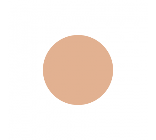 SHISEIDO d program Medicated Powdery foundation Сменный блок SHISEIDO d program Medicated Powdery foundation Сменный блок