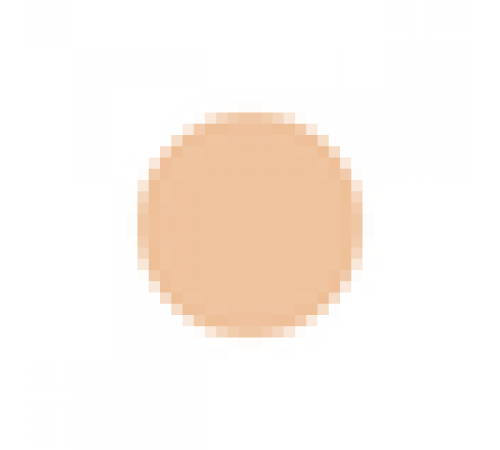 SHISEIDO d program Medicated Powdery foundation Сменный блок SHISEIDO d program Medicated Powdery foundation Сменный блок