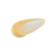 RECORESERUM BIJOU DE MER BEAUTÉ INVARIANTE Golden Radiance Pack Маска для сияния кожи