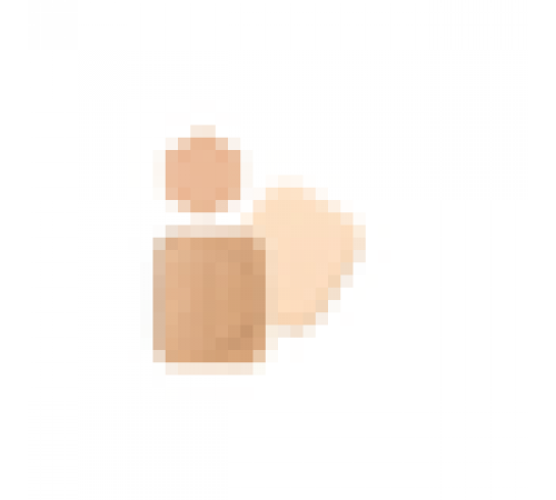 SHISEIDO Integrate Pro Finish Foundation Компактная пудра (сменный блок) SHISEIDO Integrate Pro Finish Foundation Компактная пудра (сменный блок)