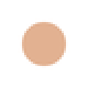 SHISEIDO d program Medicated Powdery foundation Сменный блок